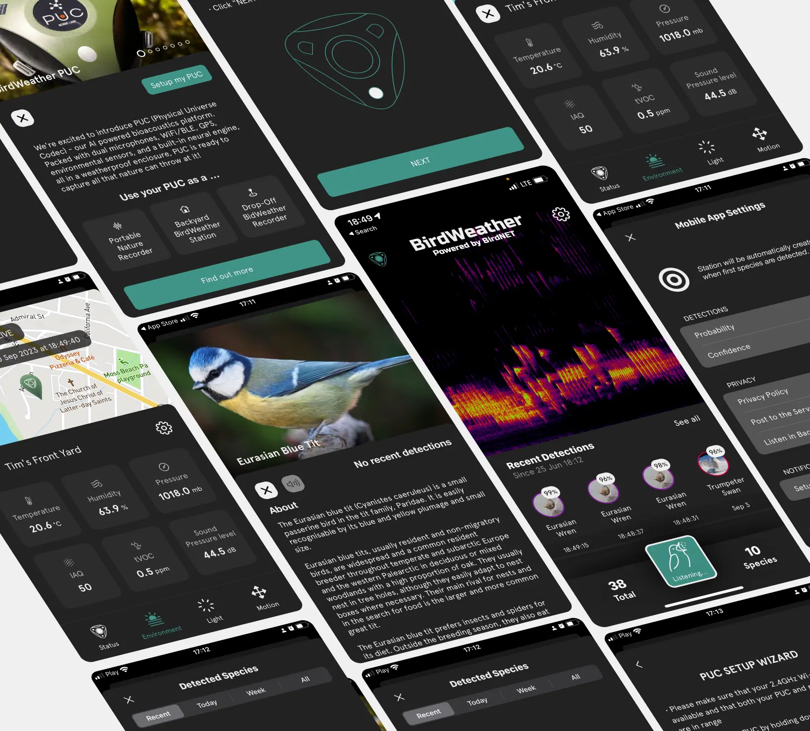 Screens illustrating the BirdWeather app's bird identification and recording functionalities with bird species, identification tools, and recording features displayed.