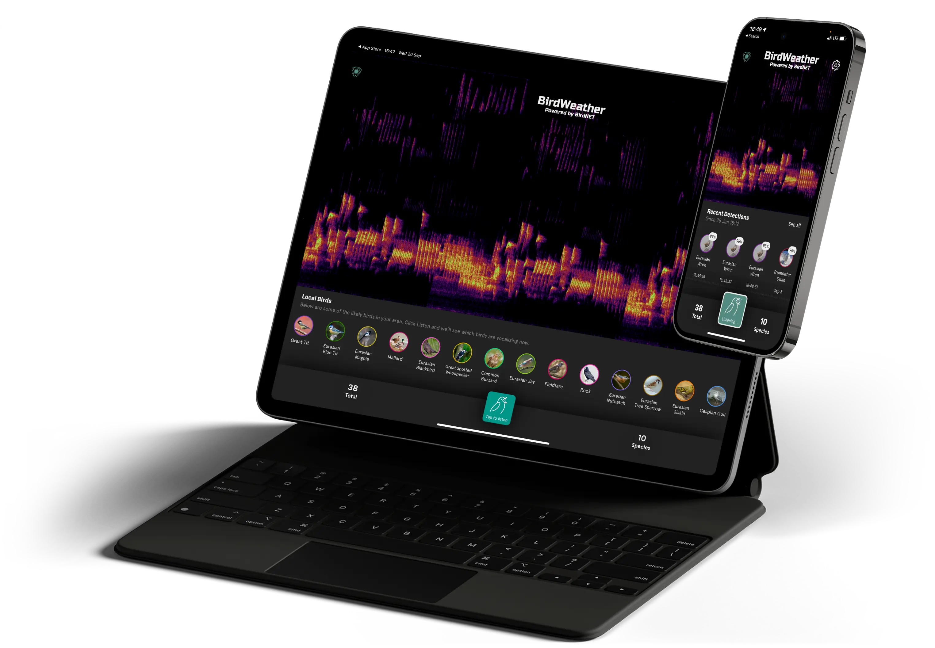 Crafting Responsive Mobile Apps for Diverse Devices.